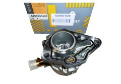 Vacuümpomp Origineel Renault Megane Trafic 1.9 dCi 8200031420