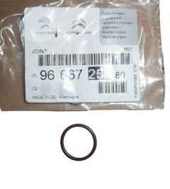 Pakning, blīve Wtrysku Nieuw Origineel 9666725880 Citroen C5 C6 3.0 HDI