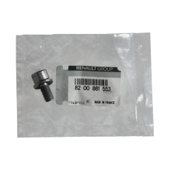 Bout Origineel 8200861553 Renault