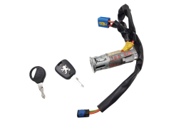 Contactslot Peugeot 206 N0501539 4162Z1 Valeo 1249