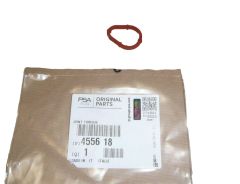 Pakning, blīve Pompy Vacum Nieuw Origineel 4556.18 455618 Citroen Peugeot
