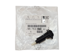 Sproeierkop Origineel Citroen C4 Picasso 9676307480