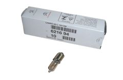 Lamp 12V-6W Nieuw Origineel 6216.94 621694 Citroen Peugeot