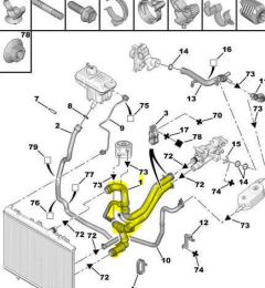 Radiateurslang Origineel Citroen Peugeot 406 1343KR