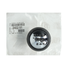 Versnellingspook Origineel Citroen Peugeot C4 307 407 2403V1