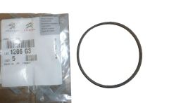 Pakning, blīve Pompy Wody Nieuw Origineel 1206.G3 1206G3 Citroen Peugeot