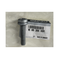 Injector Klem Bouten Nieuw Origineel 166626868R Renault