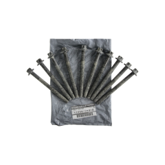 Bouten Origineel 1105600Q0B 7701478860 Renault Nissan Dacia