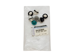 Clips Set Renault 768E60898R Origineel