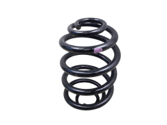 Schroefveer Achter 7700839338 Renault Clio 2