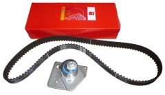 Distributieriemsset Nieuw Origineel 8671019546 Renault