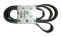 Dynamo Riem Origineel Citroen Peugeot C5 6PK1705 5750YA