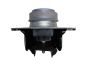 Motorsteun Origineel Renault Clio 2 Kangoo 1.4 1.6 7700434370