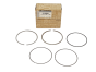 Ring Set Renault 120339614R Origineel