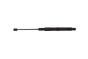 Motorkapstut Doe Mercedes-Benz A2059800464 B12484 Borsehung