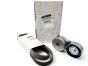 Aandrijfriemspanner Origineel Renault Megane Scenic III 2.0 16v 117206170R