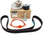 Distributieriemsset Nieuw Origineel Renault Kangoo 1.5 dCi 119A02421R