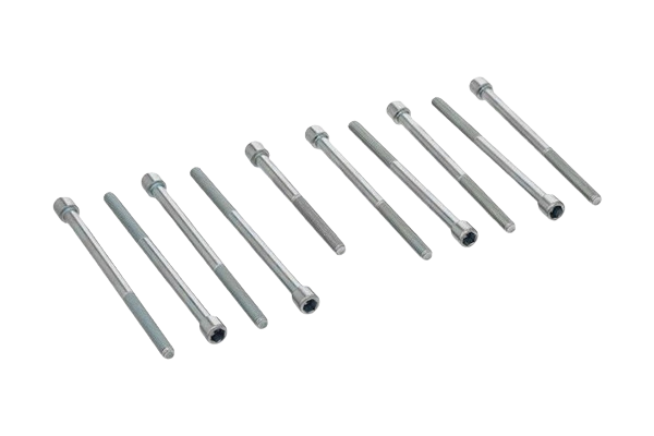 Bouten Doe VW Audi Seat N90795601 N90795701 N90795801 7950000101 Vika main product photo